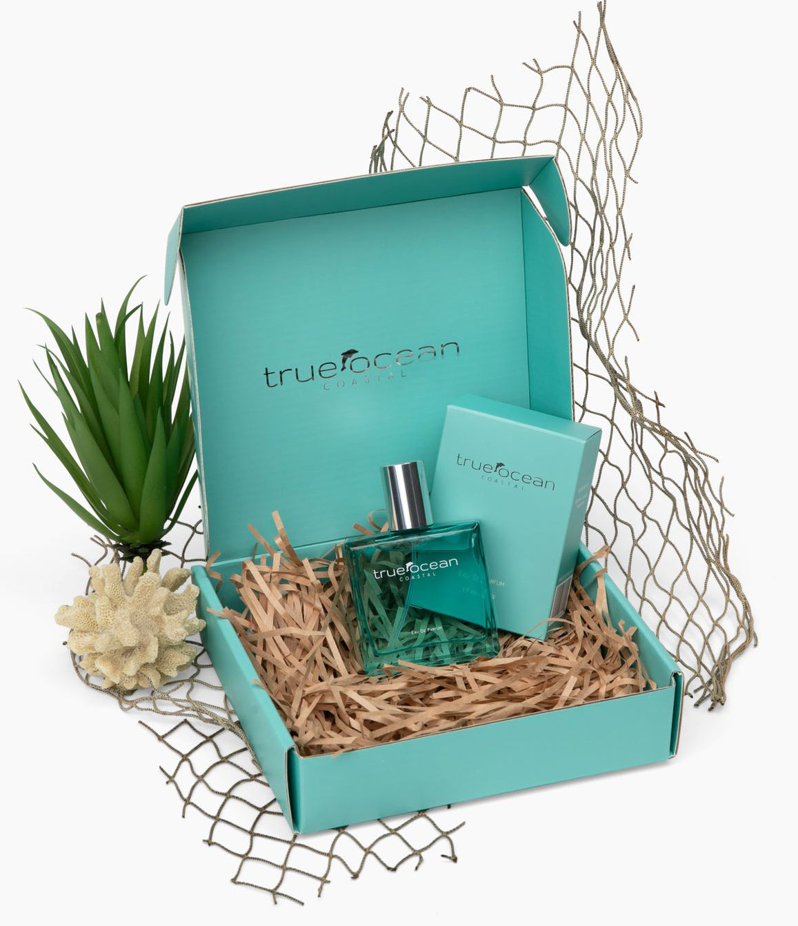 Coastal - Eau de Parfum